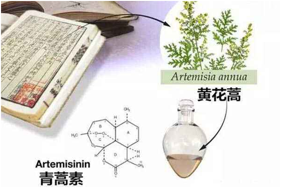 米兰体育(中国)官方网站,app登录入口：向中医药看齐，与世界共享中医药文化(图1)